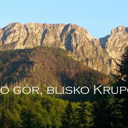 Willa Otulina Pod Giewontem Zakopane Exterior photo