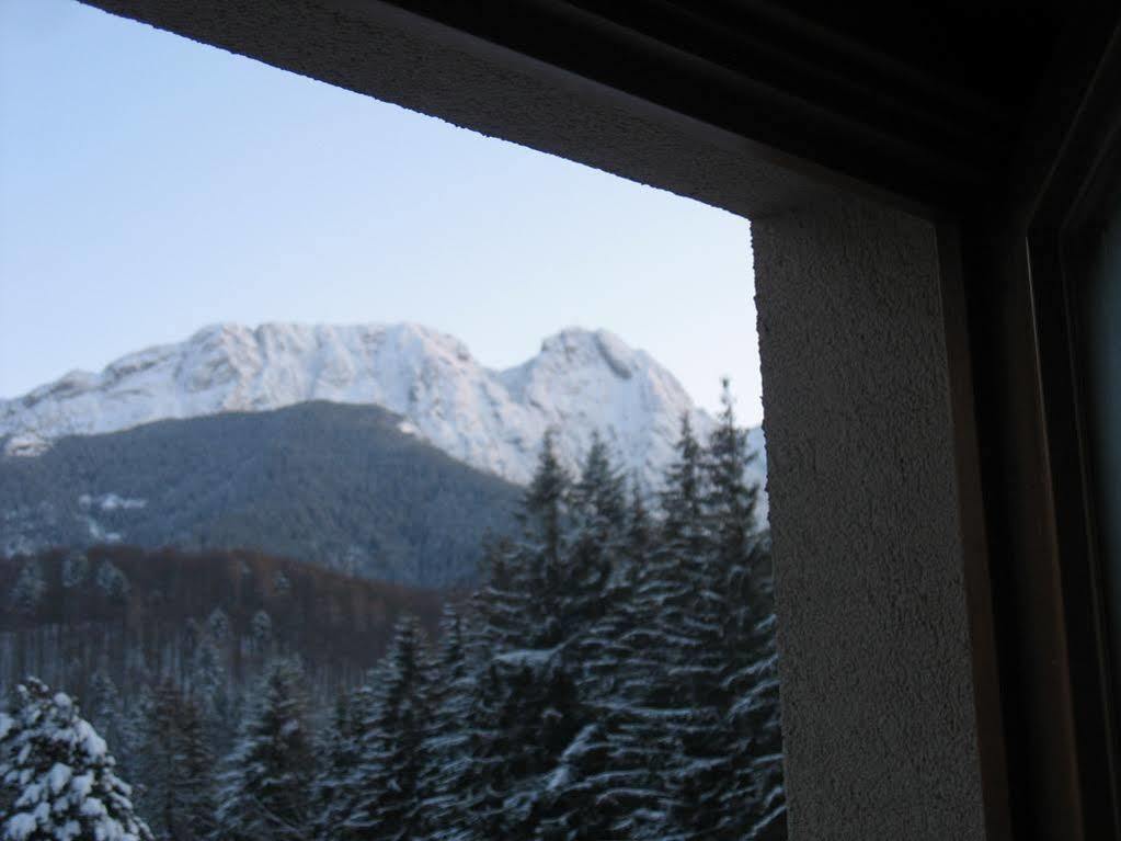 Willa Otulina Pod Giewontem Zakopane Exterior photo